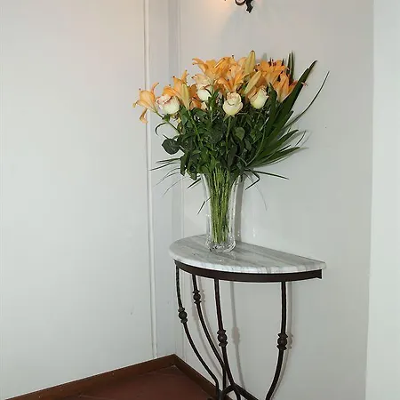 D'epoca Palazzo Fineschi Sergardi Bed & Breakfast